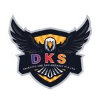 DKS Paints - 